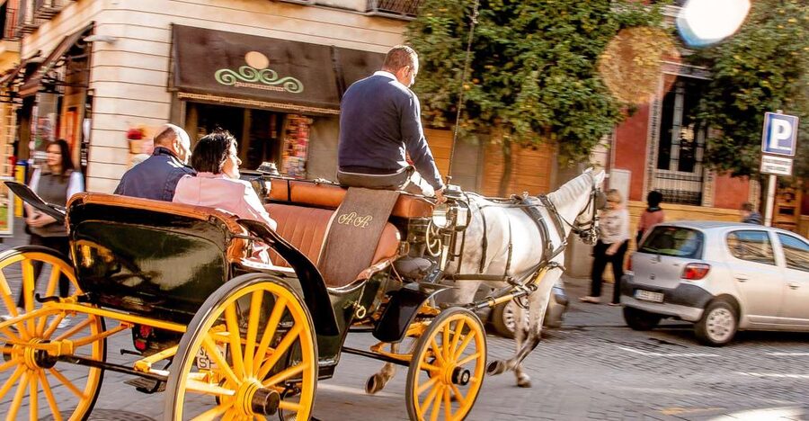 Seville: Authentic and Romantic Horse-Drawn Carriage Ride - A gentle way to see Seville without marching