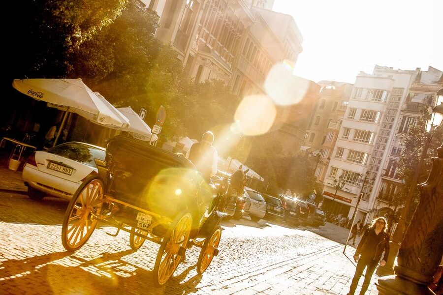Seville: Authentic and Romantic Horse-Drawn Carriage Ride - Maria Luisa Park and the Plaza de España area