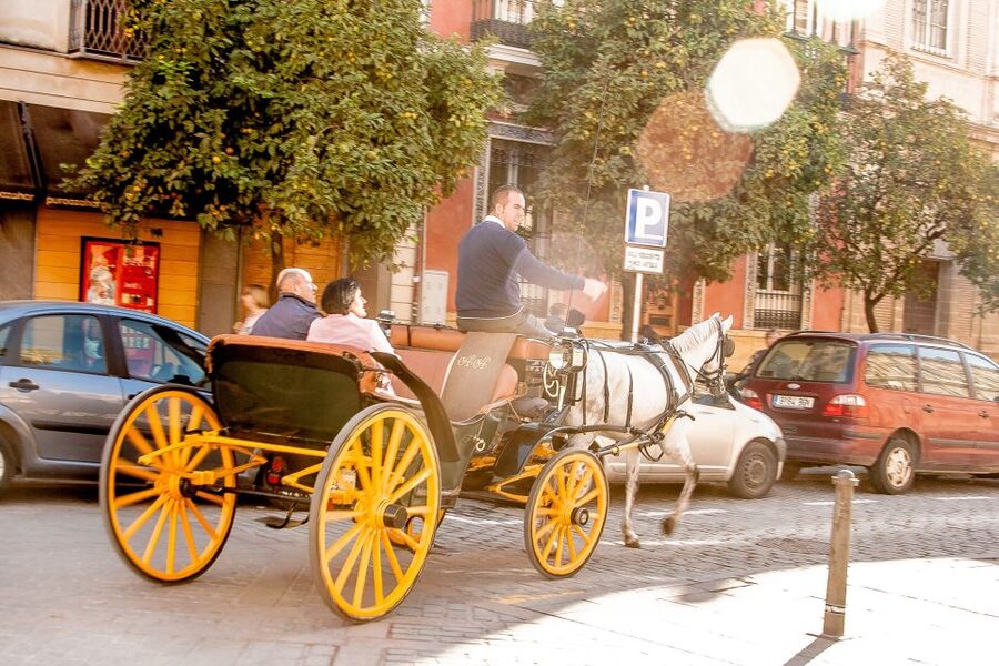 Seville: Authentic and Romantic Horse-Drawn Carriage Ride - Hotel Alfonso XIII and the grand Seville view