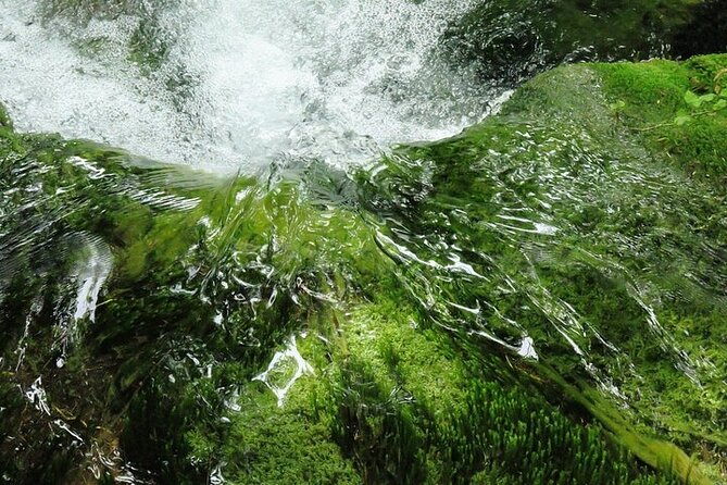 Split to Zagreb or airport Zagreb via Plitvice lakes for singles or couples - Food, luggage, and what to bring