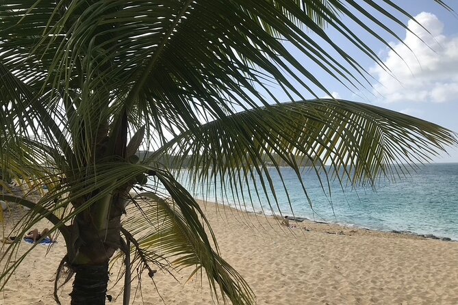 St Martin Gd-Case, Private Romantic Cruise 4 days - Day one: Anse Marcel, Pinel, and a night at Tintamarre