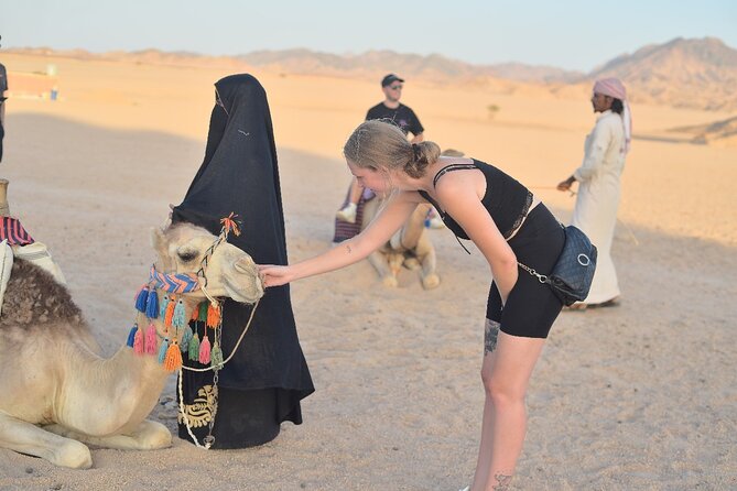 Starwatching, Camel Ride and Romantic Dinner in Hurghada Safari - What the price includes at $40
