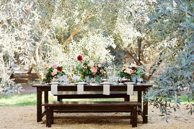 Think of a romantic meal in the Olive Trees shade, accompanied by Tuscan wines! - Wine pairing, not a formal tasting