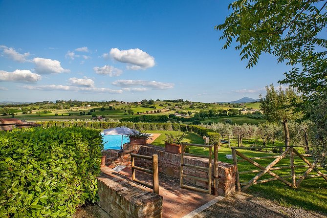 Think of a romantic meal in the Olive Trees shade, accompanied by Tuscan wines! - The setting depends on the weather