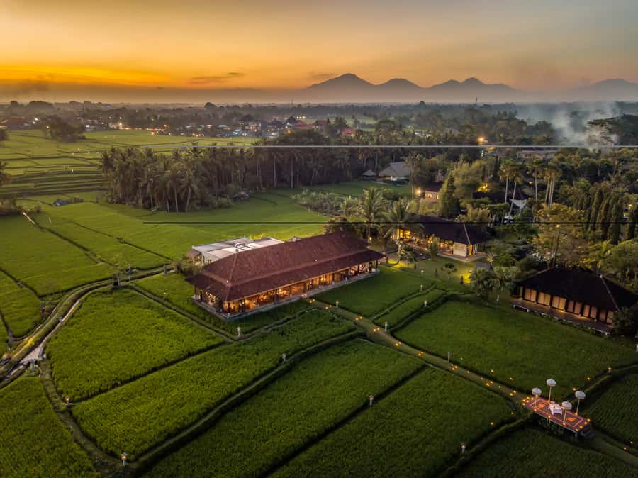 Ubud: Romantic Dinner among the Rice Fields - Key points to know before booking
