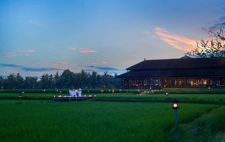 Ubud: Romantic Dinner among the Rice Fields - A candlelit walk into the paddies