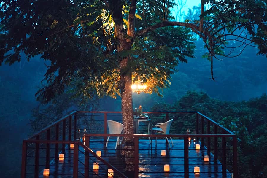 Ubud: Romantic Dinner on a Forest Tree Deck - Key points to know before booking
