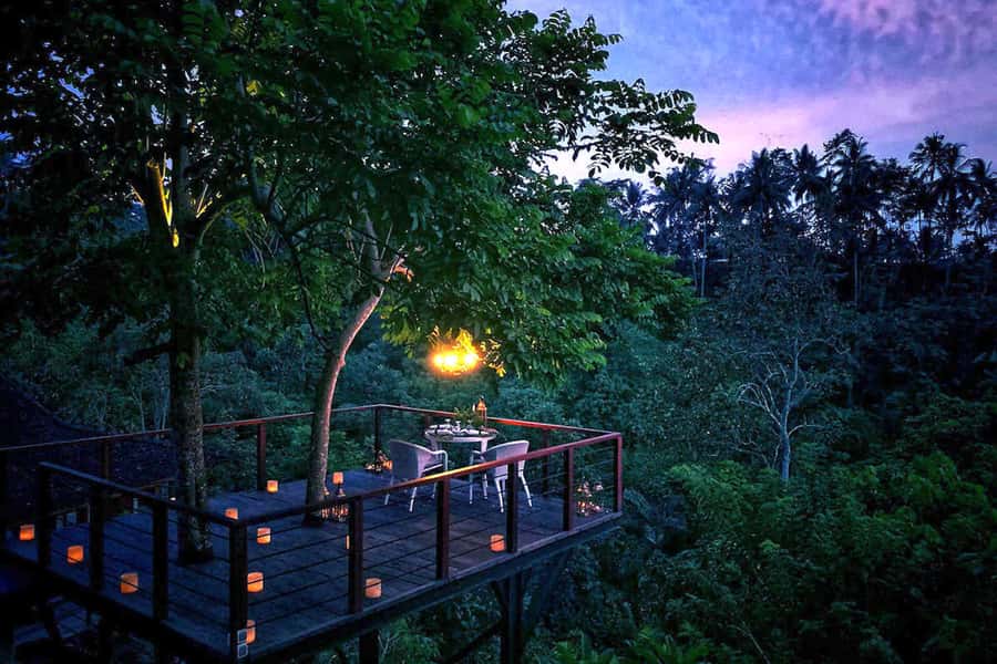 Ubud: Romantic Dinner on a Forest Tree Deck - A private dinner above the Balinese forest