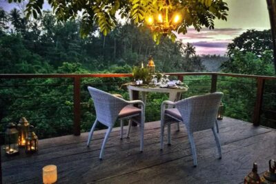 Romantic Dinner on a Forest Tree Deck