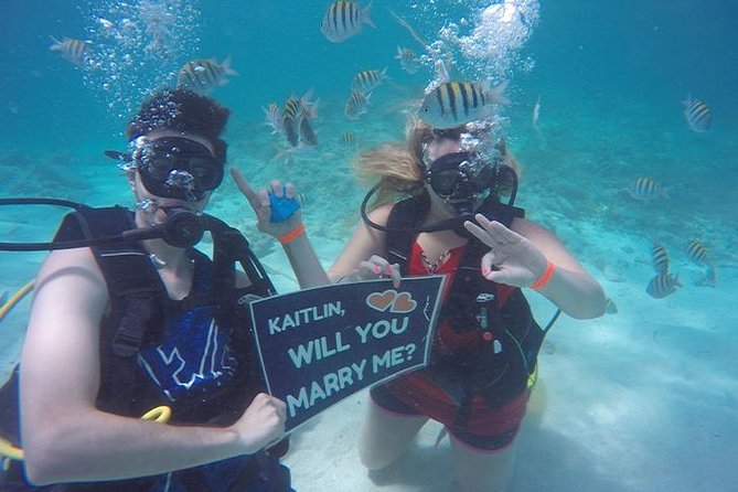 Underwater Marriage Proposal - What the $800 price really covers