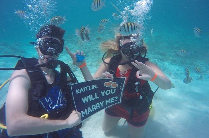 Underwater Marriage Proposal - Who will enjoy this most