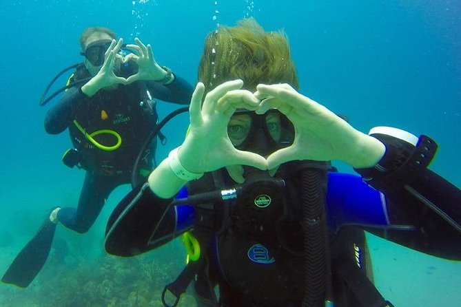 Underwater Marriage Proposal - Starting at SeaPro Divers in the afternoon