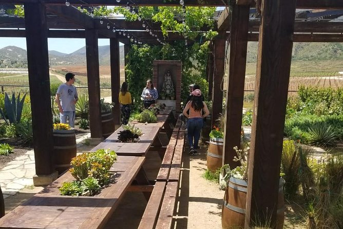 Valle de Guadalupe Couples Wine Tour - Timing, pickup, and what to prepare