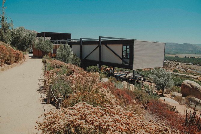 Valle de Guadalupe Couples Wine Tour - Who will get the most from this tour