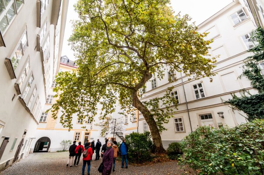 Vienna: Romantic Old Town 2-Hour Discovery Tour - Narrow lanes and back courtyards