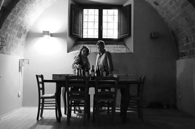Wine tasting in a romantic castle with archaeologist guide - Key points to know before you book