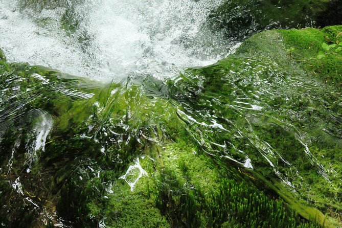 Zagreb airport or Zagreb to Split via Plitvice lakes for singles or couples - The driver and the tone of the day